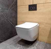 Унитаз Caprigo Modern Comfort C-1303 подвесной с сиденьем Микролифт — фото 2, Подвесные унитазы