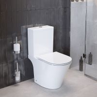 Товар: Унитаз компакт Ambassador Ritz 237K19002S с бачком и сиденьем Микролифт - фото 3 Унитаз компакт Ambassador Ritz 237K19002S с бачком и сиденьем Микролифт — фото 3, Унитазы