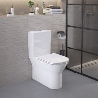 Унитаз компакт Ambassador Elysium 187K19001RS с бачком и сиденьем Микролифт — фото 6, Напольные унитазы