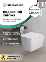 Товар: Унитаз Ambassador Kingston 143K19003RS подвесной с сиденьем Микролифт - фото 9 Унитаз Ambassador Kingston 143K19003RS подвесной с сиденьем Микролифт — фото 9, Подвесные унитазы