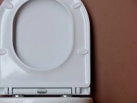 Товар: Унитаз Ceramicanova UP Rimless CN4007 подвесной Белый с сиденьем Микролифт - фото 2 Унитаз Ceramicanova UP Rimless CN4007 подвесной Белый с сиденьем Микролифт — фото 2, Подвесные унитазы