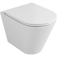 Унитаз Owl 1975 VindRuta-H TOWLT190304 подвесной с сиденьем Микролифт — фото 1, Подвесные унитазы