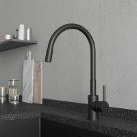 Товар: Смеситель для кухни Milardo Meal M01BL0FM05 Черный матовый - фото 8 Смеситель для кухни Milardo Meal M01BL0FM05 Черный матовый — фото 8, Смесители для кухни