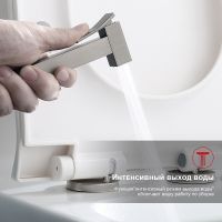 Гигиенический душ со смесителем Raglo R01.51.09 Графит матовый — фото 4, Гигиенические души