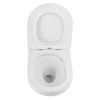 Товар: Унитаз подвесной безободковый CEZARES DUET CZR-2462-TH-TOR/CZR-2316-SC - фото 7 Унитаз подвесной безободковый CEZARES DUET CZR-2462-TH-TOR/CZR-2316-SC — фото 7, Подвесные унитазы