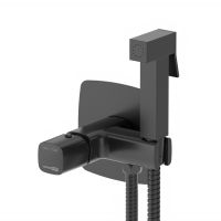 Nuthe 9138 Встраиваемый смеситель для душа с гигиенической лейкой — фото 1, Гигиенические души