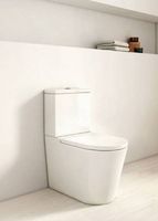 Унитаз компакт Roca Inspira 342527000 без бачка и сиденья — фото 3, Унитазы