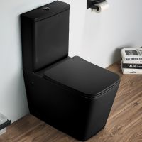 Унитаз компакт CeramaLux 2170AXMB Черный матовый с бачком и сиденьем Микролифт — фото 1, Напольные унитазы