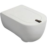 Унитаз Artceram The One THV001 05 00 подвесной Белый матовый — фото 1, Унитазы