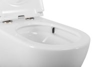 Товар: Унитаз подвесной безободковый с сиденьем CEZARES RELAX CZR-3806-53-TH-TOR/SC - фото 8 Унитаз подвесной безободковый с сиденьем CEZARES RELAX CZR-3806-53-TH-TOR/SC — фото 8, Подвесные унитазы