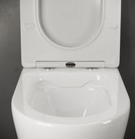 Унитаз Ceramicanova Highlight Rimless CN1804 подвесной с сиденьем Микролифт — фото 13, Подвесные унитазы