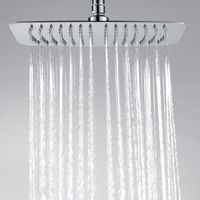 Товар: A069 Верхняя душевая насадка - фото 2 A069 Верхняя душевая насадка — фото 2, Комплектующие для туалета