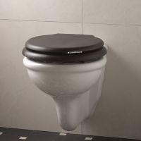 Унитаз Devon&Devon Etoile IBWCSET подвесной без сиденья — фото 3, Унитазы