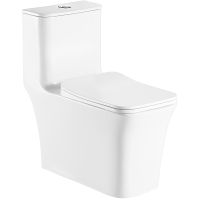 Унитаз моноблок Azario Gressa AZ-1111 с бачком и сиденьем Микролифт — фото 1, Унитазы