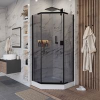 Душевой уголок Niagara Eco NG-009-14DT (90х90х195) низкий поддон(13см),черный,стекло тонированное,2  — фото 1, Душевые уголки трапеция