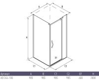 Душевой уголок Alex Baitler 100x100 AB244-100 профиль Хром стекло тонированное — фото 2, Квадратные душевые уголки