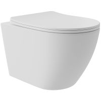 Унитаз Aqueduto Ovo Plus OVOT0220 подвесной Белый матовый с сиденьем Микролифт — фото 1, Подвесные унитазы