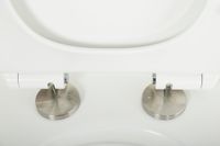 Товар: Унитаз подвесной безободковый CEZARES STYLUS-TOR CZR-6601-TH-TOR/CZR-2011-SC - фото 7 Унитаз подвесной безободковый CEZARES STYLUS-TOR CZR-6601-TH-TOR/CZR-2011-SC — фото 7, Подвесные унитазы