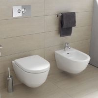 Унитаз Laufen Pro 8.2095.6 подвесной без сиденья — фото 3, Подвесные унитазы