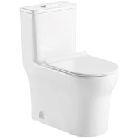 Унитаз моноблок Azario Sinto AZ-1098 с бачком и сиденьем Микролифт — фото 1, Напольные унитазы