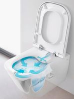 Комплект унитаза с инсталляцией Roca The Gap 893104100 с сиденьем Микролифт и клавишей смыва Хром — фото 14, Комплекты унитаз + инсталляция