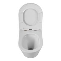 Товар: Унитаз подвесной безободковый с сиденьем CEZARES LINER CZR-3808-53-TH-TOR/SC - фото 7 Унитаз подвесной безободковый с сиденьем CEZARES LINER CZR-3808-53-TH-TOR/SC — фото 7, Подвесные унитазы