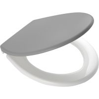 Сиденье для унитаза Ridder Miami О2101107 Серое с Микролифтом — фото 1, Сиденья для унитаза