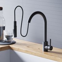 Смеситель для кухни Dorff Logic D3007522 Черный — фото 2, Смесители для кухни