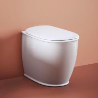 Товар: Унитаз Artceram Atelier ATV002 05 00 приставной Белый матовый без сиденья - фото 3 Унитаз Artceram Atelier ATV002 05 00 приставной Белый матовый без сиденья — фото 3, Приставные унитазы