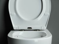 Товар: Подвесной унитаз PEARL (безободковый) - фото 9 Подвесной унитаз PEARL (безободковый) — фото 9, Подвесные унитазы