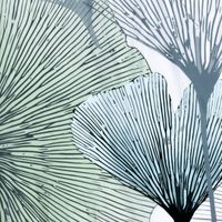 Товар: Rhein SC-62102 Шторка для ванной - фото 5 Rhein SC-62102 Шторка для ванной — фото 5, Шторки на ванну