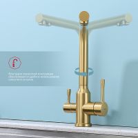 Товар: Смеситель для кухни Raglo R81.61.03 Золото матовое - фото 2 Смеситель для кухни Raglo R81.61.03 Золото матовое — фото 2, Смесители для кухни