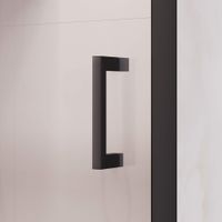 Душевая дверь 160*195 RGW PA-017-B Чёрный/Прозрачное/6 мм (Easy) — фото 4, Раздвижные душевые двери