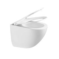 Унитаз подвесной RGW SW-44  белый  (горизонтальный выпуск, с микролифтом) — фото 3, Подвесные унитазы