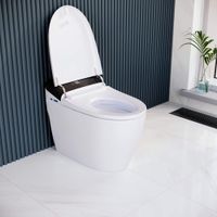 Унитаз умный напольный RGW SW-30  белый  (с мануальным управлением, горизонтальный выпуск) — фото 1, Умные унитазы