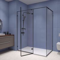 Душевой уголок 110*100*200 RGW SV-040-B Прямоуг./Чёрный/Прозрачное/8 мм (2 уп.) — фото 2, Ершики. Вторая