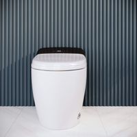 Унитаз умный напольный RGW SW-31  белый  (пультом дистанционного управления, горизонтальный выпуск) — фото 1, Умные унитазы