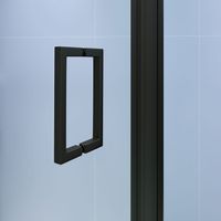 Товар: Душевая дверь 90*195 RGW SV-05-B Чёрный/Black Smart Line/8 мм (Easy) - фото 4 Душевая дверь 90*195 RGW SV-05-B Чёрный/Black Smart Line/8 мм (Easy) — фото 4, Душевые двери в нишу