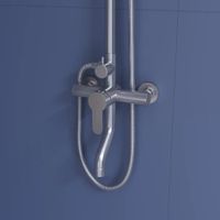 Душевая стойка RGW SP-24-S Сатин Головной душ/Смеситель (Ручной душ.Шланг 1,5 м.) — фото 6, Душевые стойки