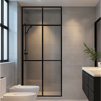 Душевые двери в нишу Душевые двери в нишу