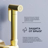 Гигиенический душ со смесителем RGW SP-211-Gb Золото браш (Смеситель/шланг/гигиенический душ/) — фото 4, Гигиенические души