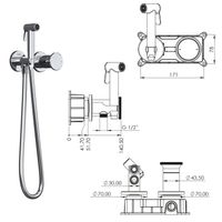Встраиваемый смеситель c гигиеническим душем на 2 отверстия Arte Tera розовое золото TESKA арт-T5539 — фото 2, Гигиенические души