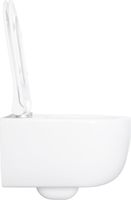 Унитаз с инсталляцией Allen Brau Priority 4.31002.20/8.9466.0.000.000.1 белый глянец 00316509 — фото 1, Комплекты унитаз + инсталляция