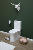 Чаша напольного унитаза Aquanet Rimless CL-12249B арт-Roll-C — фото 14, Напольные унитазы