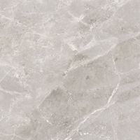 Керамогранит Tulip_GT Сер. 60x60 _ 1\54,72 арт-GT606012101SPR — фото 8, Керамогранит