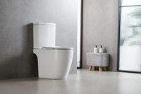 Унитаз-компакт Azario LEO TORNADO FLUSHING 360х595х820 напольный, безободковый, слив "Торнадо", в комплекте с быстросъемным сиденьем микролифт арт-AZ-1253CT — фото 11, Напольные унитазы