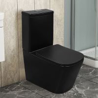 Унитаз-компакт Azario Black King 370х640х810 безободковый, с быстросъемным сиденьем микролифт, черный матовый (AZ-8303D) арт-AZ-8303-D — фото 14, Напольные унитазы