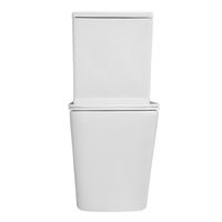 Унитаз напольный Azario Indor безободковый, в комплекте с бачком и сиденьем микролифт, дюропласт 820*630*360 арт-AZ-T004B-R — фото 8, Напольные унитазы