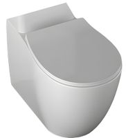 Товар: Чаша напольного унитаза Allen Brau Fantasy 4.11009.20 белый глянец - фото 3 Чаша напольного унитаза Allen Brau Fantasy 4.11009.20 белый глянец — фото 3, Напольные унитазы