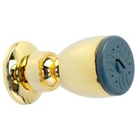 PERRY Форсунка массажная, золото 20198 — фото 1, Душевые форсунки